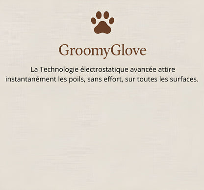 GroomyGlove