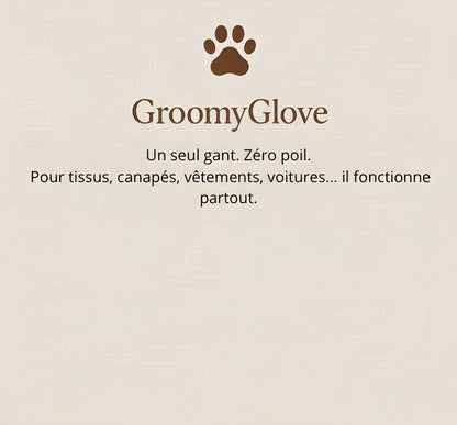GroomyGlove