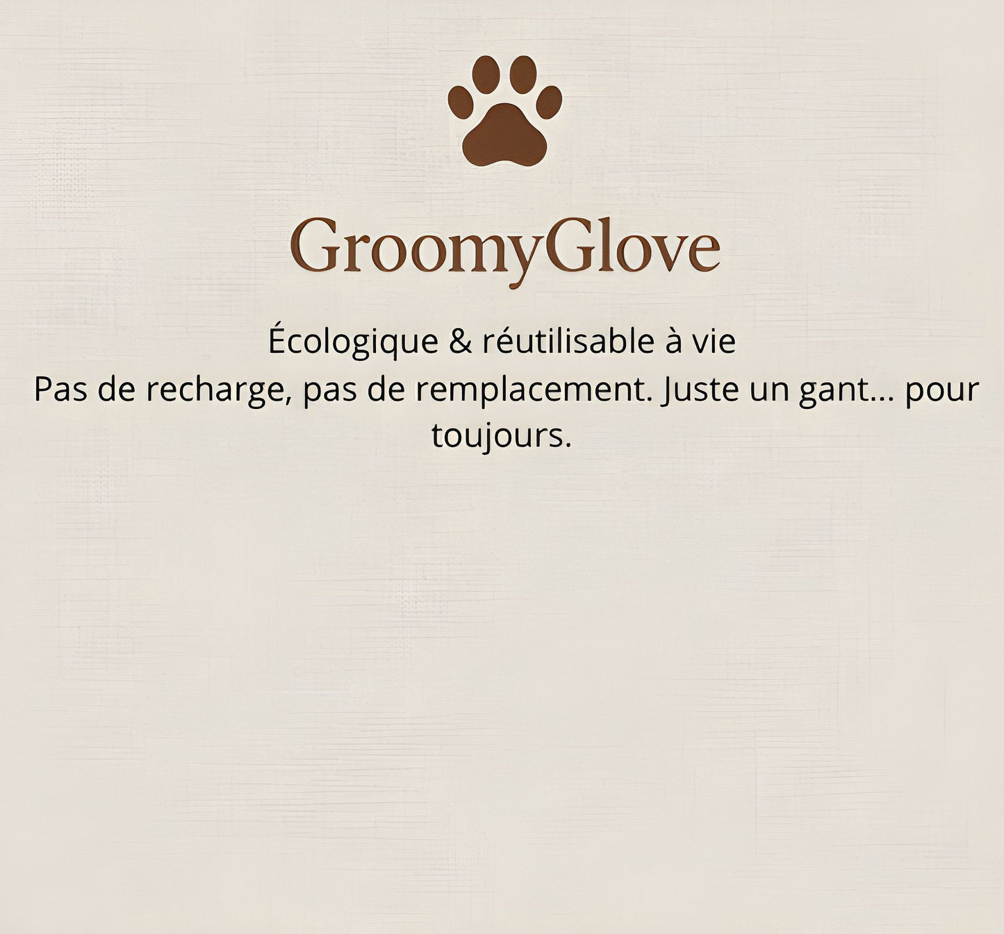 GroomyGlove