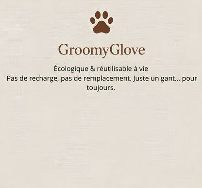 GroomyGlove
