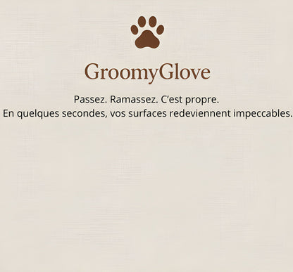 GroomyGlove