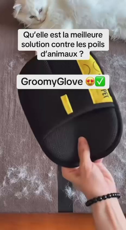 GroomyGlove
